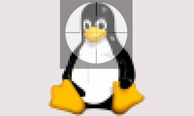 RotaJakiro: Linux en el punto de mira